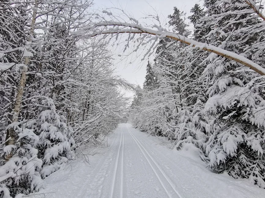 A serene snowy trail winding through a winter forest with snow-laden branches overhead