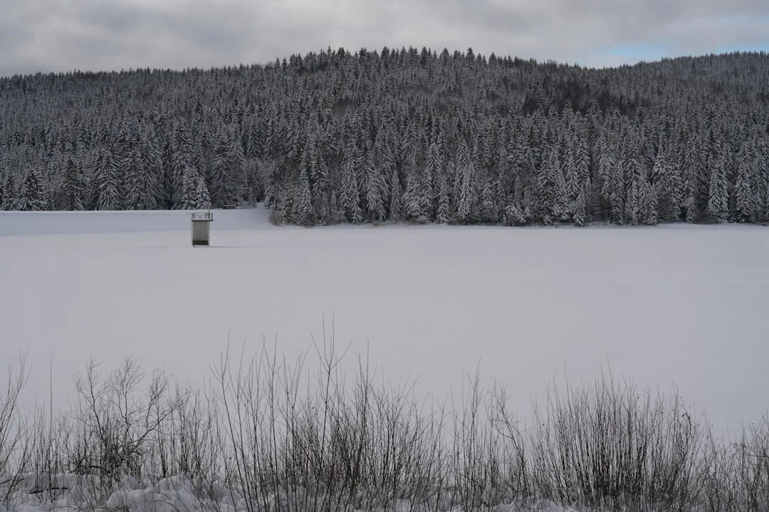 Snow-covered forest and frozen lake in Minnesota winter wilderness
