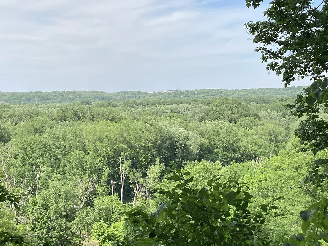 Starved Rock Winter Hiking: Frozen Waterfalls Guide 2026 3 Panoramic winter overlook at Starved Rock with snow-covered canyon views