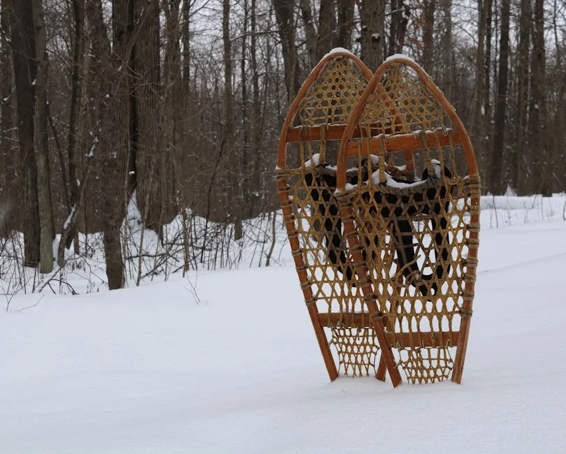 Tahquamenon Falls Winter Hiking Guide (2026) 4 Snowshoes standing in a snowy winter forest with pine trees