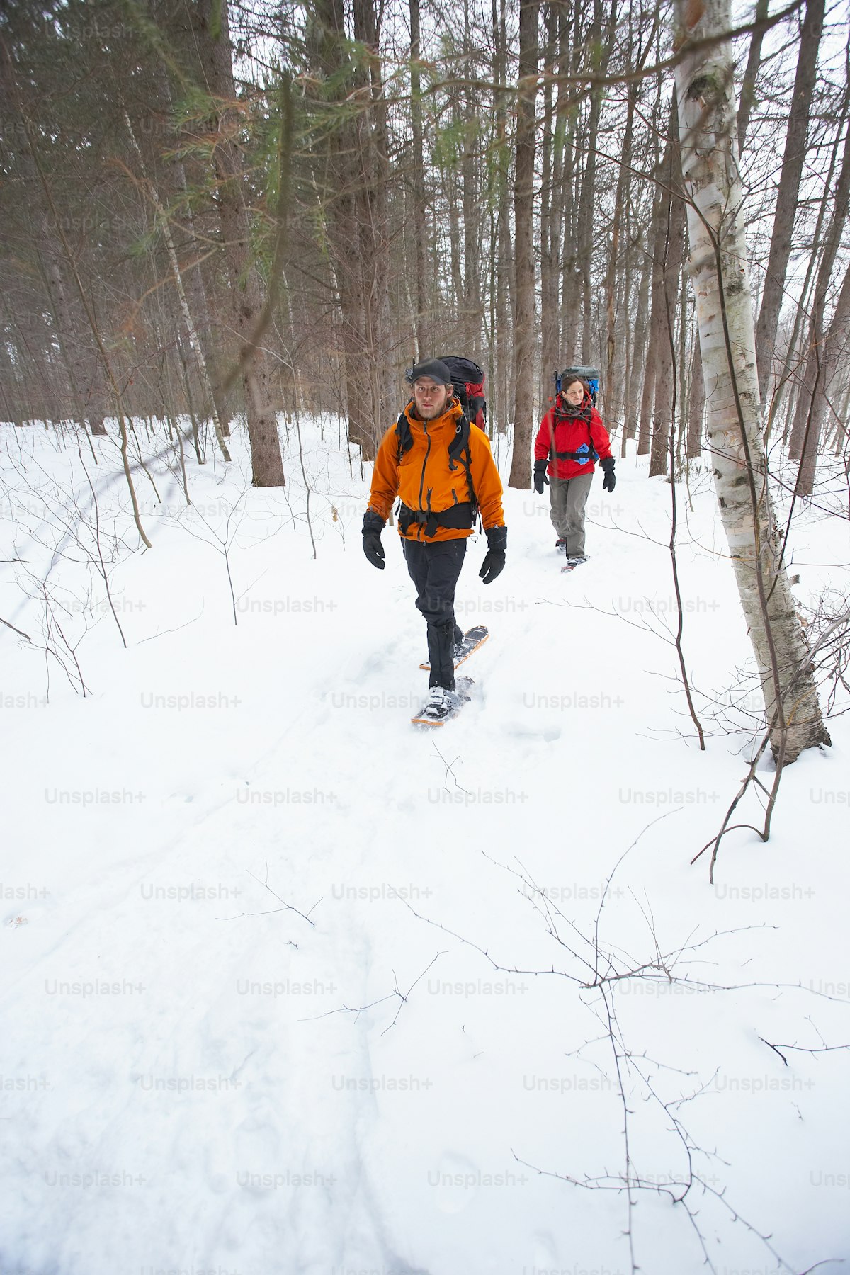 Couple walking through snow-covered forest on a winter hiking trail