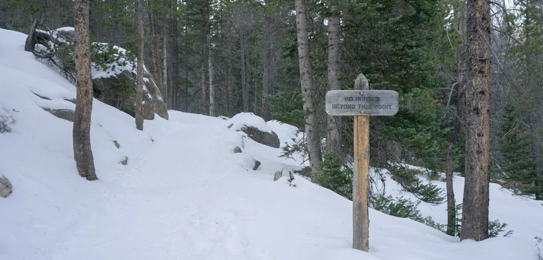 Trail sign on snow-covered path showing navigation challenges in winter woods