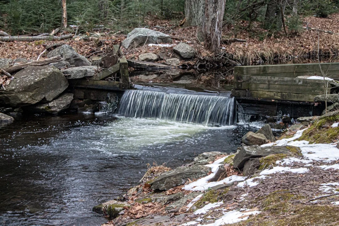 Ricketts Glen Winter Hiking: Frozen Falls Guide (2026) 7 Frozen stream winding through snow-covered forest with ice-laden branches