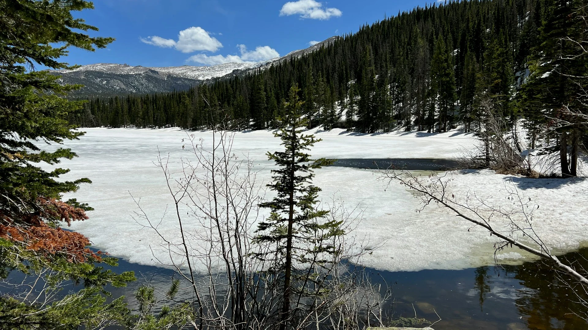 Bear Lake surrounded by trees and snow in the Rocky Mountains winter landscape