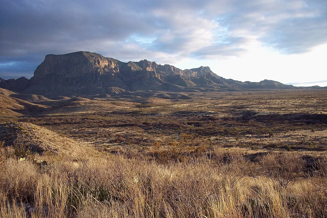 Big Bend Winter Hiking Chisos Basin Guide (2026) 6 Chihuahuan Desert landscape at Big Bend with yucca plants and mountain backdrop