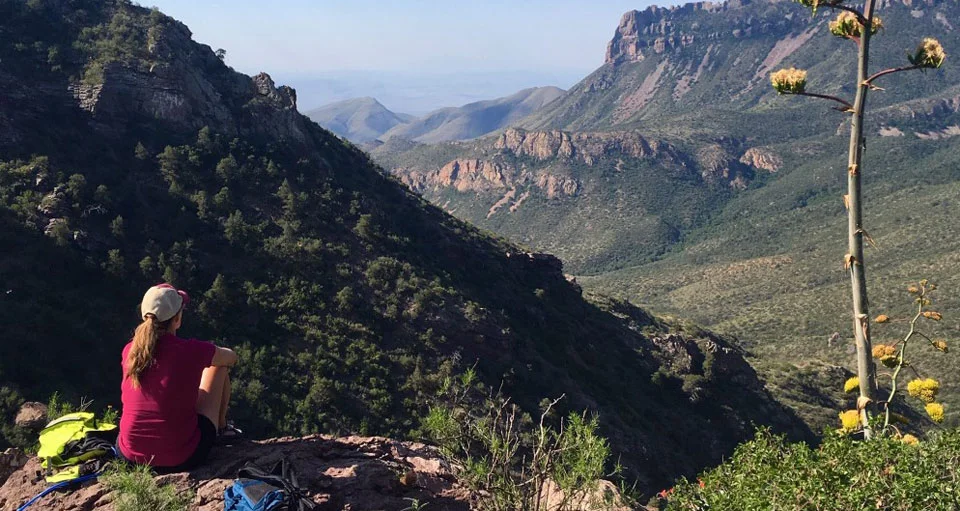 Big Bend winter hiking Chisos Basin - hiker on desert mountain trail with panoramic views