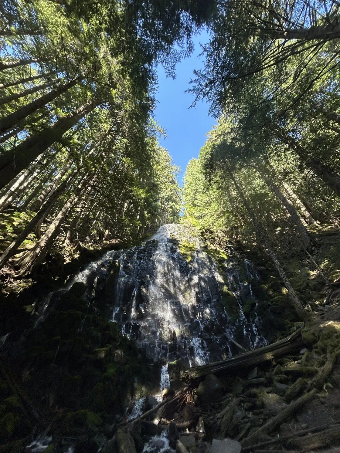 Winter camping Crater Lake - hiking through snow-covered forest with mountains in background
