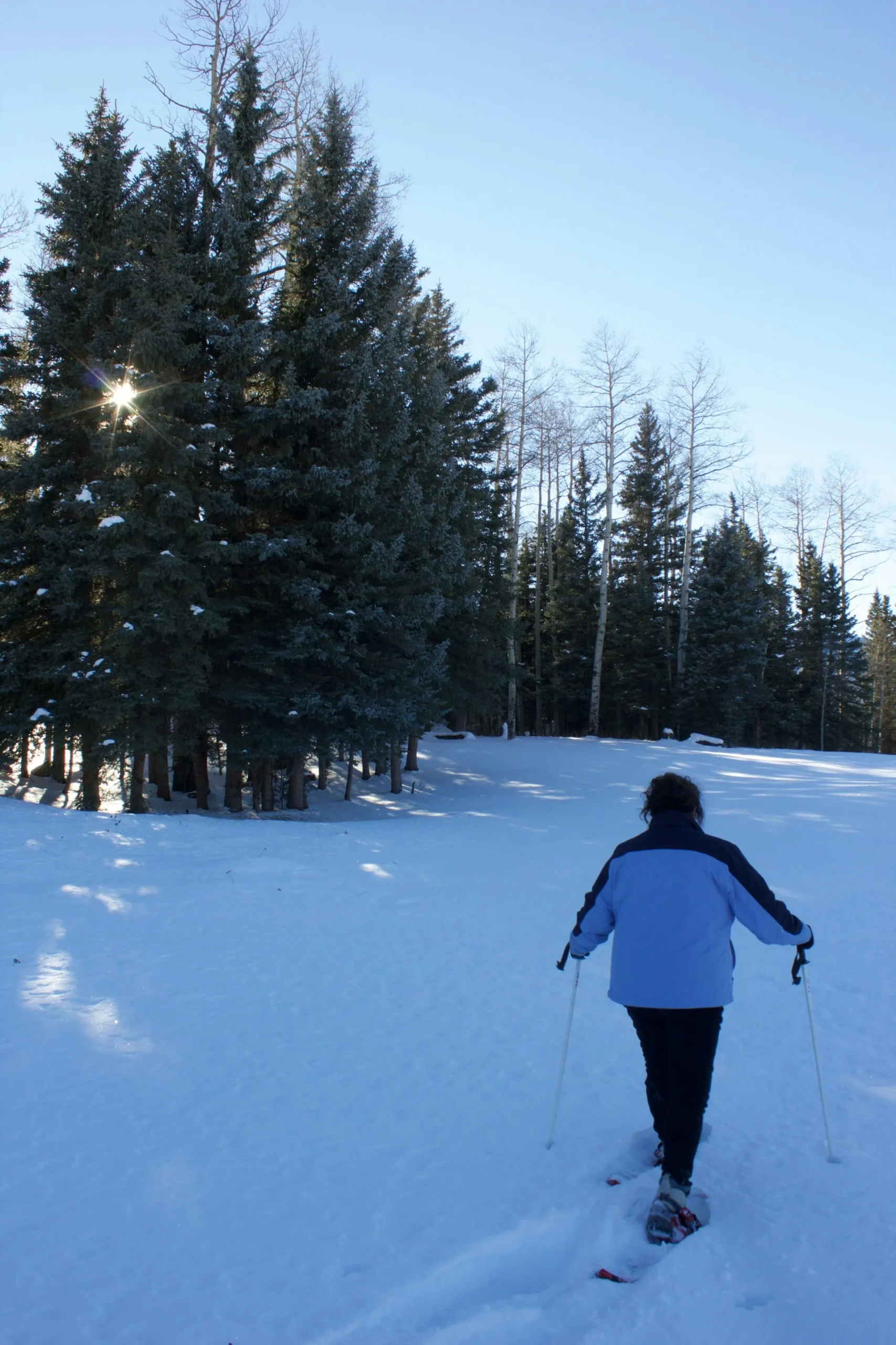 Person snowshoeing in pink jacket standing on snow covered ground in Colorado mountains