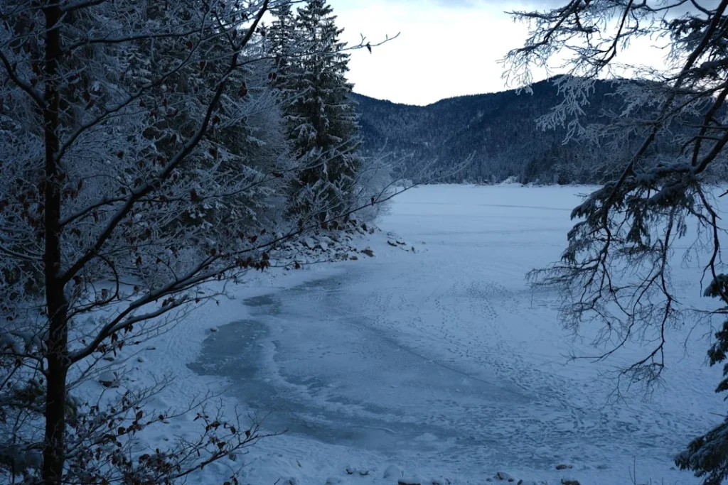 Boundary Waters winter camping scene with frozen lake and snow-covered trees in BWCAW wilderness