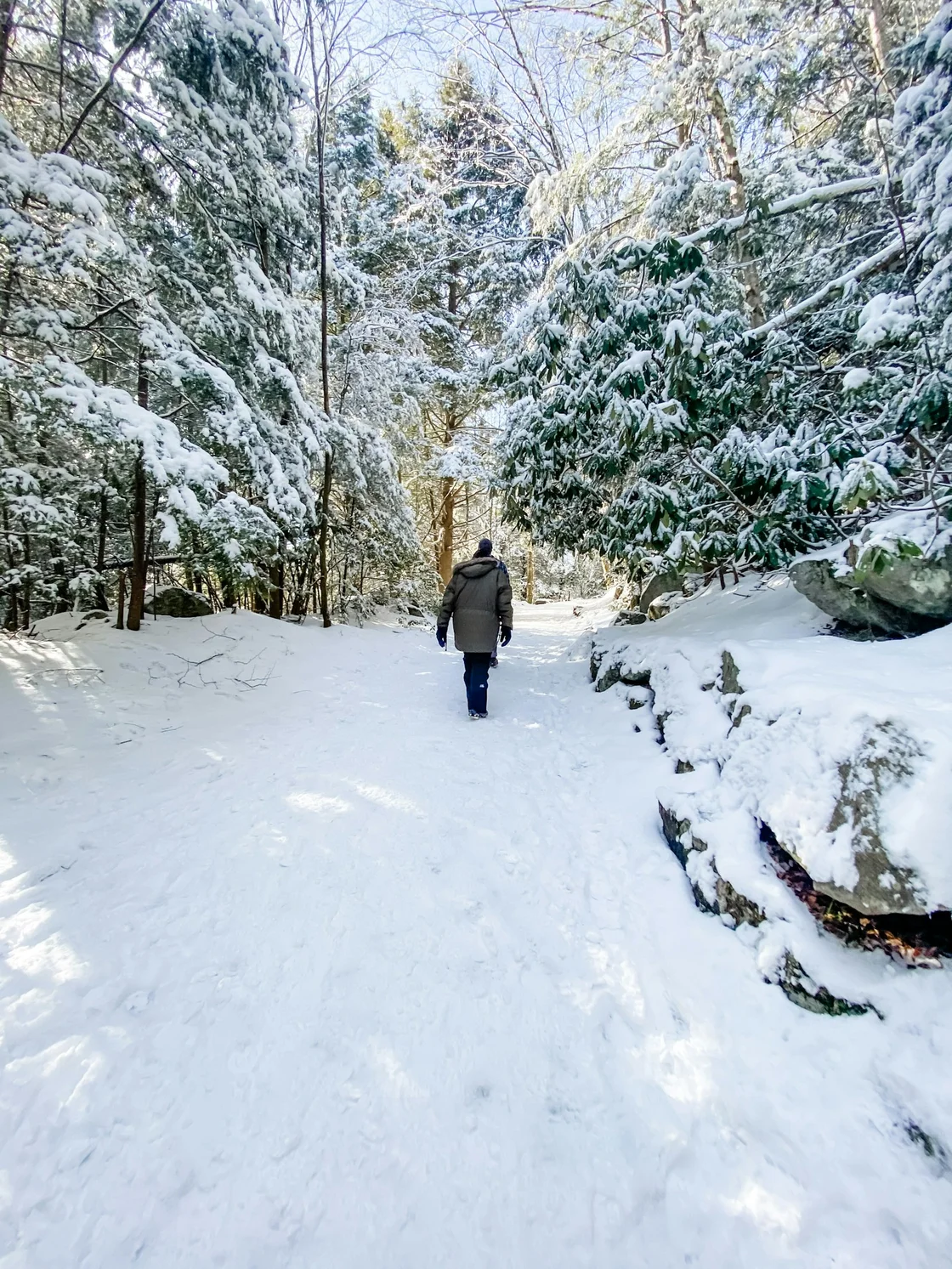 Solo hiker walking through a snowy forest trail with towering trees