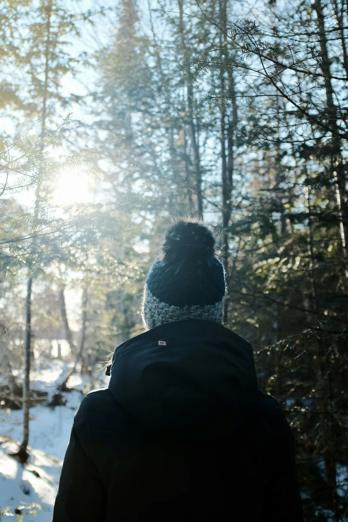 Solitary hiker in dark winter gear standing among bare winter trees