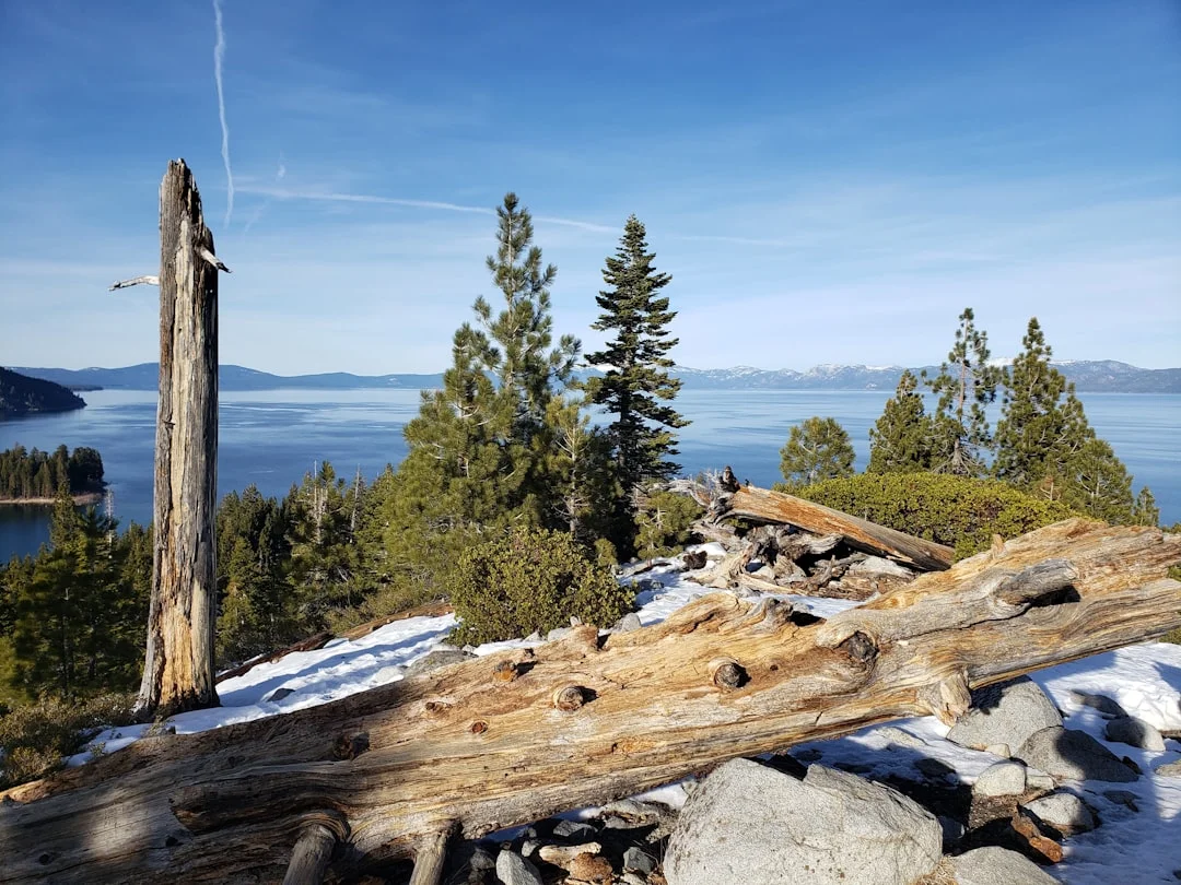 Winter wilderness solitude at Tahoe - snow-covered mountain landscape with frosted evergreen trees