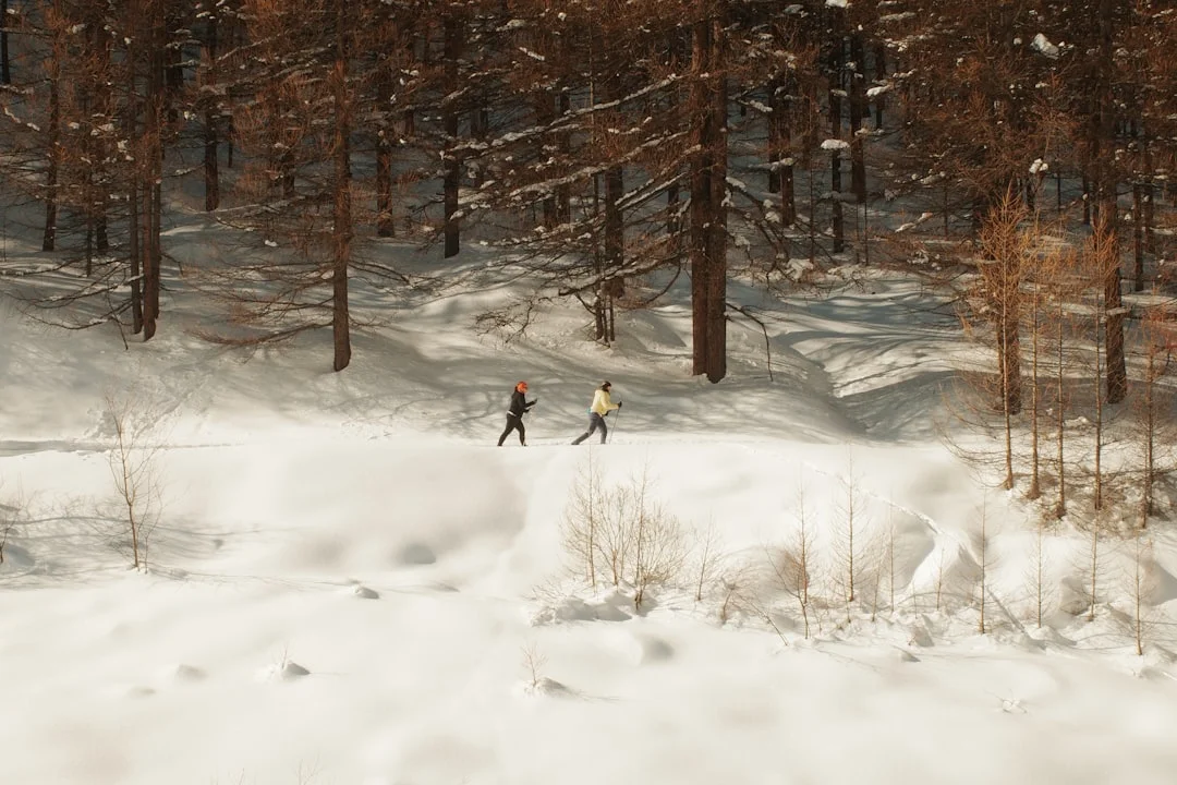 Two people cross country skiing on a snowy trail through mountain forest
