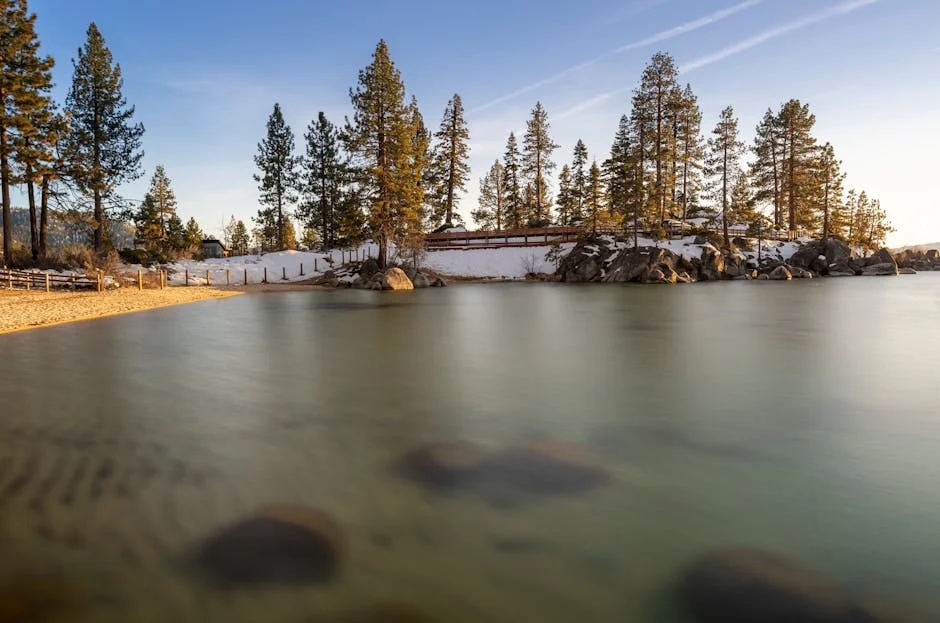 Breathtaking view of Lake Tahoe with snow-covered trees and calm blue waters