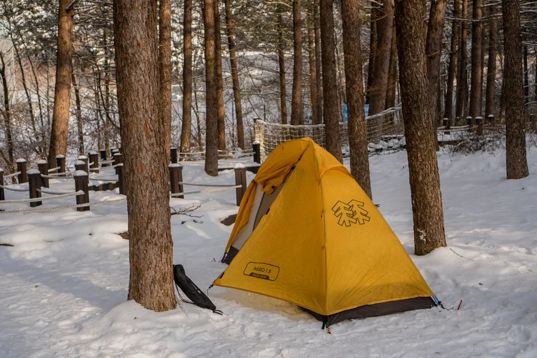 6 Winter Sleeping Bags Tested at Great Smoky Mountains (2026) 3 Cold weather camping gear and winter sleeping bag equipment in snow
