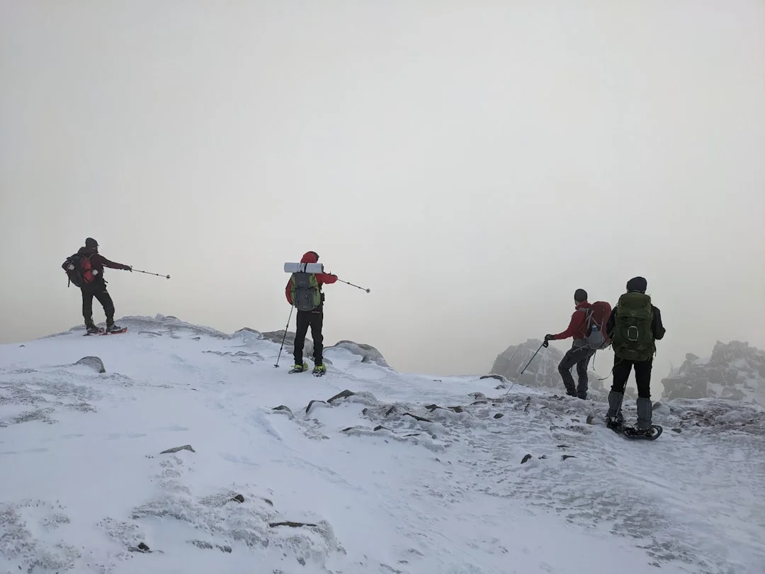 Group of people snowshoeing on snow-covered mountain slope