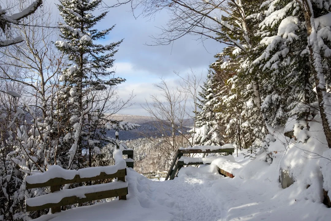 Snowy forest path with wooden fence and distant hills - quiet snowshoe trail Lake Tahoe