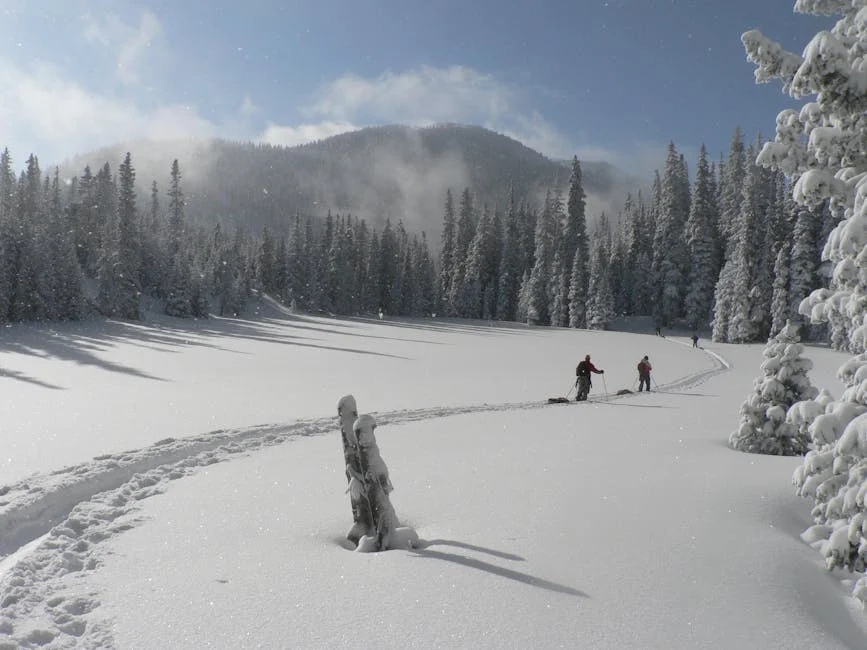 Hikers snowshoeing through snowy forest winter landscape