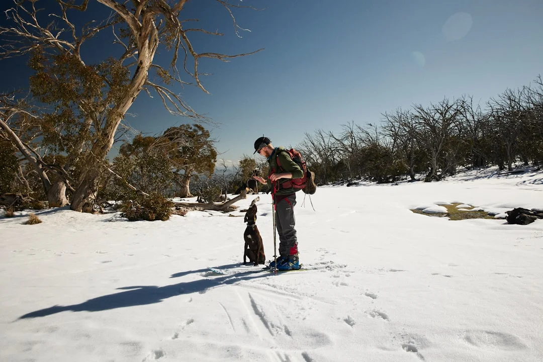 Cross country skier in red jacket on snowy mountain terrain