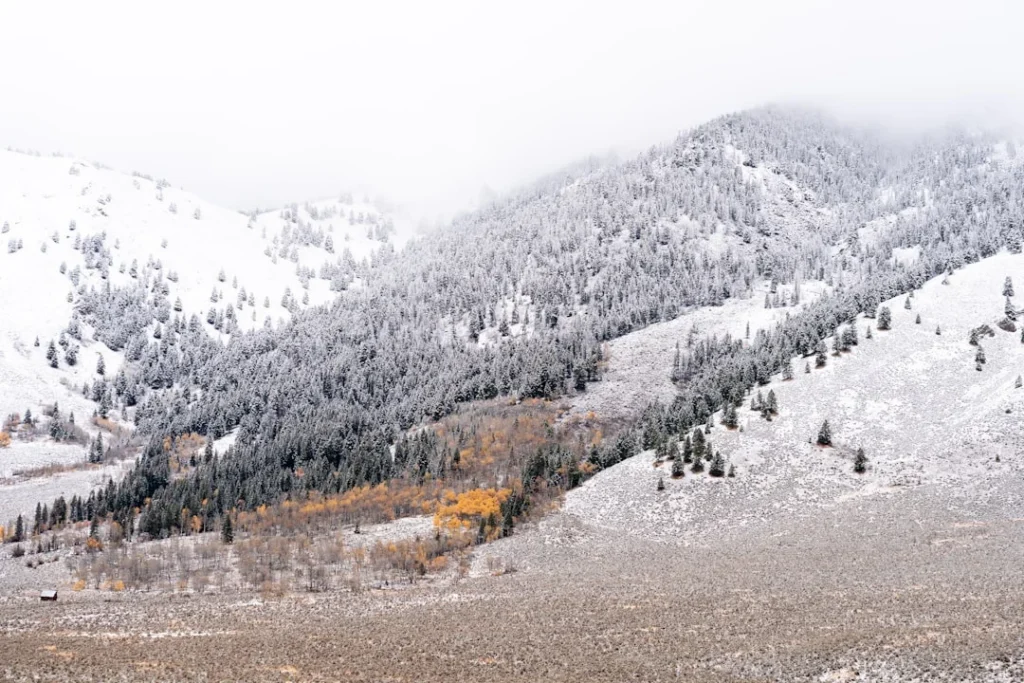 Winter storm hiking near Aspen Colorado with snow-covered mountain slopes disappearing into whiteout clouds