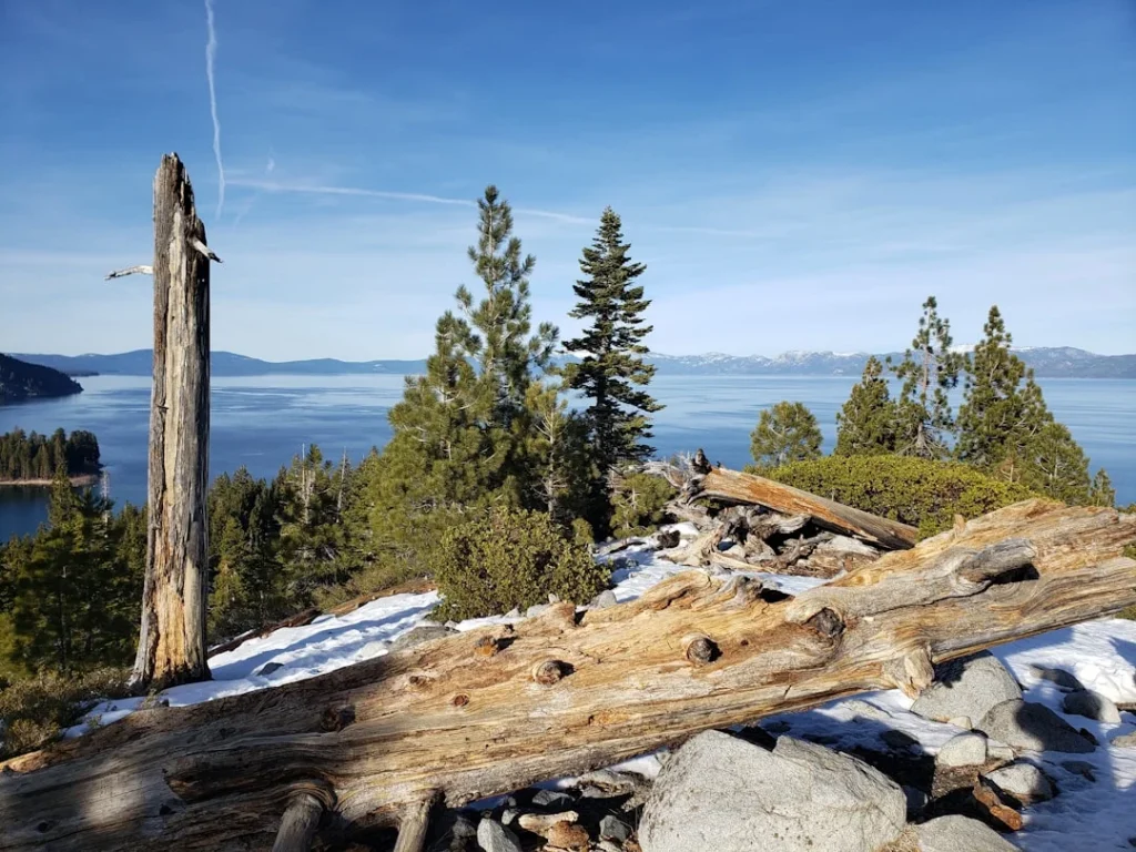 Winter wilderness solitude at Tahoe - snow-covered mountain landscape with frosted evergreen trees