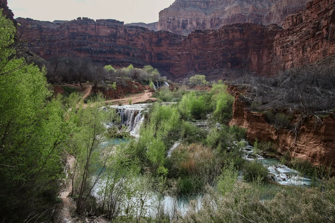 Misty canyon walls with water flowing beside cliff face during a rainy spring hike at Grand Canyon