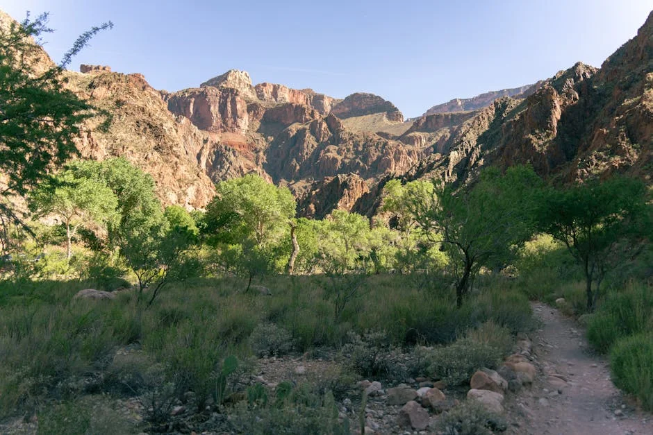Bright Angel Canyon trail with rugged cliffs and vibrant spring greenery at Grand Canyon