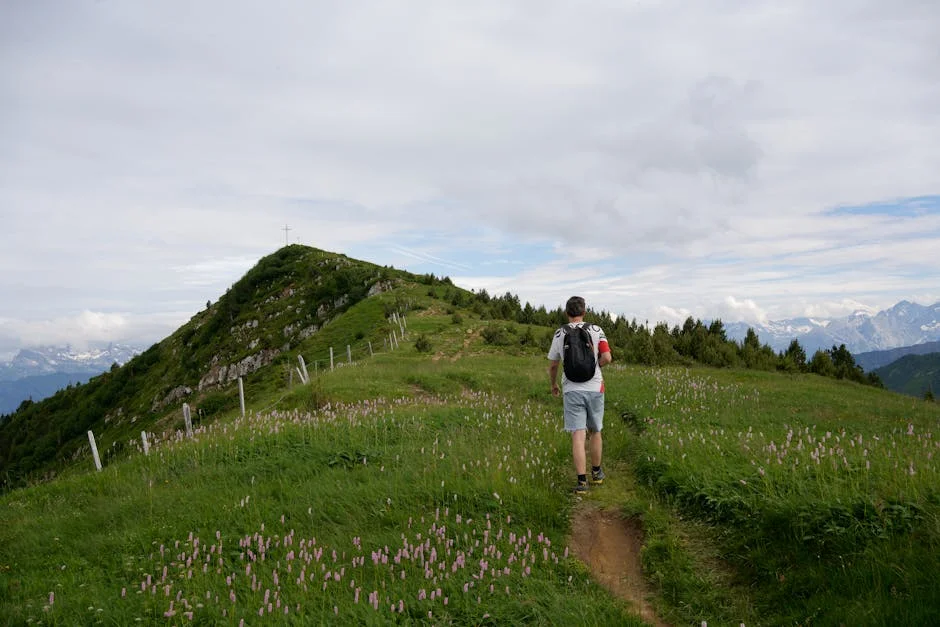Hiker on wildflower trail surrounded by alpine blooms and mountain scenery